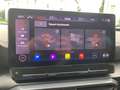 CUPRA Formentor 2.0 TSI 4Drive VZ PANO+NAV+BEATS+PDC Weiß - thumbnail 39
