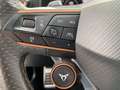 CUPRA Formentor 2.0 TSI 4Drive VZ PANO+NAV+BEATS+PDC Weiß - thumbnail 32