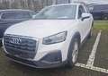 Audi Q2 30TFSI 6-GANG FAHRSCHULWAGEN Weiß - thumbnail 1