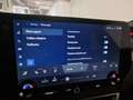 Lexus RX 350h Privilege Line - Garantie 04/2034 Grün - thumbnail 25