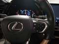 Lexus RX 350h Privilege Line - Garantie 04/2034 Grün - thumbnail 19