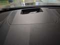 Lexus RX 350h Privilege Line - Garantie 04/2034 Grün - thumbnail 26
