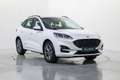 Ford Kuga 2.5 Duratec PHEV ST-Line 4x2 Blanco - thumbnail 3