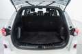 Ford Kuga 2.5 Duratec PHEV ST-Line 4x2 Blanco - thumbnail 17