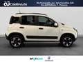 Fiat Panda Cross 1.0 FireFly 70 CV Hybrid MY24 Bianco - thumbnail 6