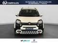 Fiat Panda Cross 1.0 FireFly 70 CV Hybrid MY24 Bianco - thumbnail 8