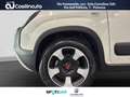 Fiat Panda Cross 1.0 FireFly 70 CV Hybrid MY24 Bianco - thumbnail 11