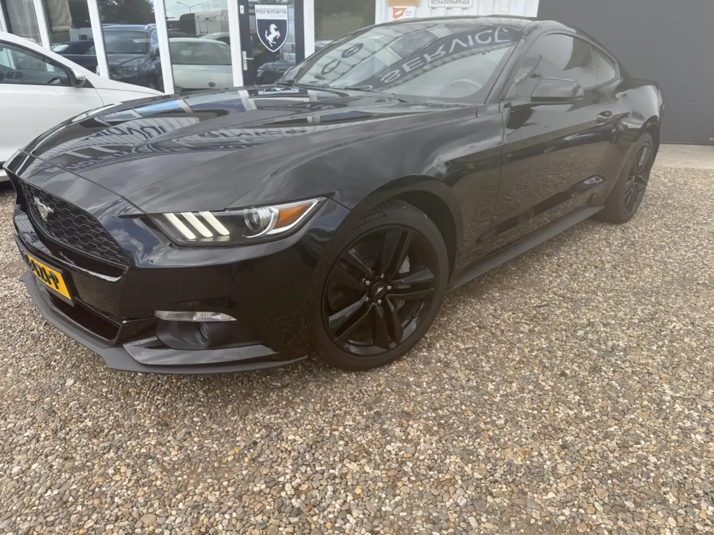 Ford Mustang Fastback 2.3 EcoBoost AUTOM*88 dkm*CAM*LEDER Schwarz - 1