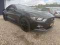 Ford Mustang Fastback 2.3 EcoBoost AUTOM*88 dkm*CAM*LEDER Schwarz - thumbnail 5