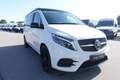 Mercedes-Benz Marco Polo V 220 d  EDITION AMG Weiß - thumbnail 2