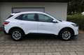 Ford Kuga 2.0 D Aut. 4x4 Titanium Navigation LED Sitzhzg Rüc Weiß - thumbnail 16