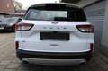 Ford Kuga 2.0 D Aut. 4x4 Titanium Navigation LED Sitzhzg Rüc Weiß - thumbnail 21