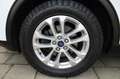Ford Kuga 2.0 D Aut. 4x4 Titanium Navigation LED Sitzhzg Rüc Weiß - thumbnail 25