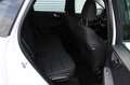 Ford Kuga 2.0 D Aut. 4x4 Titanium Navigation LED Sitzhzg Rüc Weiß - thumbnail 17
