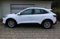 Ford Kuga 2.0 D Aut. 4x4 Titanium Navigation LED Sitzhzg Rüc Weiß - thumbnail 14
