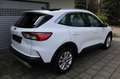 Ford Kuga 2.0 D Aut. 4x4 Titanium Navigation LED Sitzhzg Rüc Weiß - thumbnail 19
