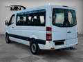 Mercedes-Benz Sprinter 313 CDI H1+L2 4.Sitzer Klima AHK 1.HAND Blanc - thumbnail 3