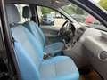 Fiat Panda 1,2 Dynamic Schwarz - thumbnail 19
