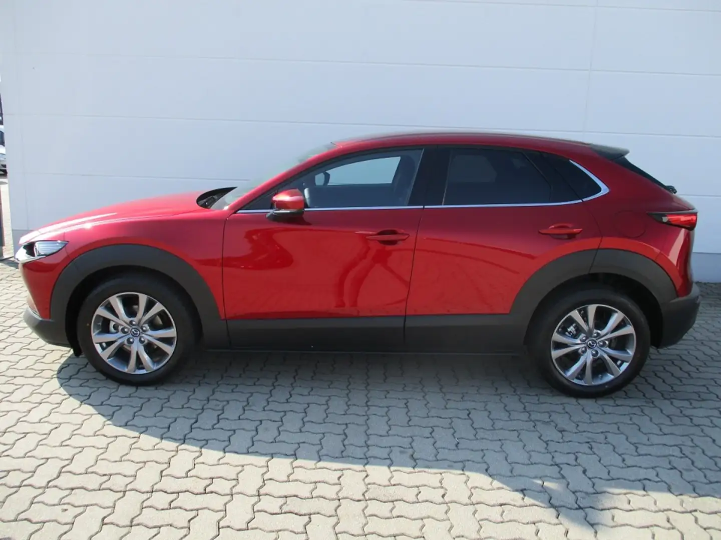 Mazda CX-30 2.5l (140PS) Takumi Leder Schwarz NEU Weiß - 2