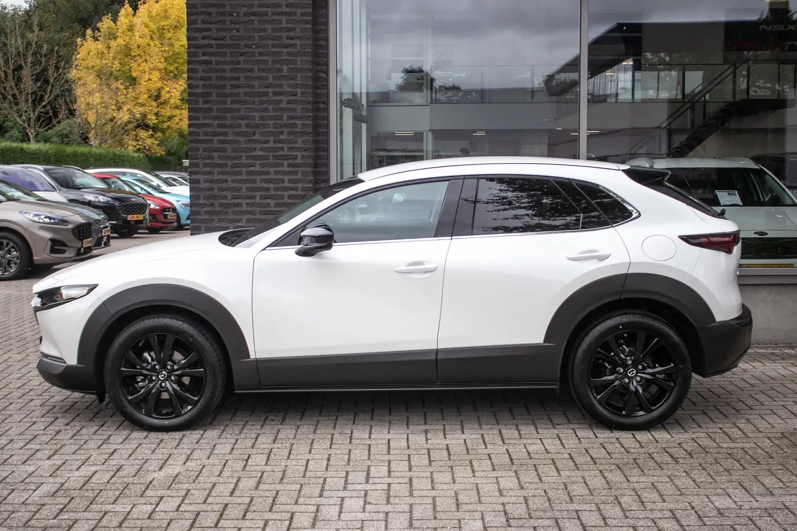 Mazda CX-30 2.0 e-SkyActiv-G M Hybrid Nagisa - All-in rijklrpr Wit - 2
