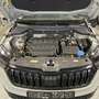 Skoda Karoq Karoq 2.0 TSI 4x4 DSG Sportline Sportline Grau - thumbnail 17
