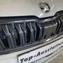 Skoda Karoq Karoq 2.0 TSI 4x4 DSG Sportline Sportline Grau - thumbnail 16