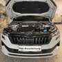 Skoda Karoq Karoq 2.0 TSI 4x4 DSG Sportline Sportline Grau - thumbnail 15