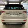 Skoda Karoq Karoq 2.0 TSI 4x4 DSG Sportline Sportline Grau - thumbnail 11