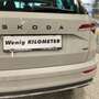 Skoda Karoq Karoq 2.0 TSI 4x4 DSG Sportline Sportline Grau - thumbnail 14