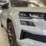 Skoda Karoq Karoq 2.0 TSI 4x4 DSG Sportline Sportline Grau - thumbnail 7