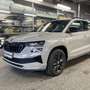 Skoda Karoq Karoq 2.0 TSI 4x4 DSG Sportline Sportline Grau - thumbnail 2
