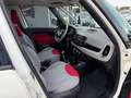 Fiat 500L 1.3 mjt Lounge 85cv Unico Proprietario Garanzia 12 - thumbnail 12