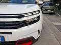 Citroen C5 Aircross 1.5 bluehdi Shine s&s 130cv eat8 my19 Blanc - thumbnail 9