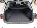 Volkswagen Tiguan Allspace Life 2.0 TSI DSG 4MOTION Blanc - thumbnail 20