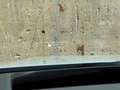 BMW 520 i Grau - thumbnail 37
