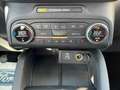 Ford Kuga 1.5 Ecob150cv 2WD Titanium+Copilot Pack SOTTOCOSTO Grigio - thumbnail 12