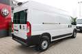 Fiat Ducato Maxi 35 140 L4H2 KAMERA/GARANTIE bis 5-28 Weiß - thumbnail 4