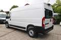 Fiat Ducato Maxi 35 140 L4H2 KAMERA/GARANTIE bis 5-28 Weiß - thumbnail 5