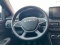 Dacia Sandero Streetway 1.0 tce ECO-G Essential Blu/Azzurro - thumbnail 7