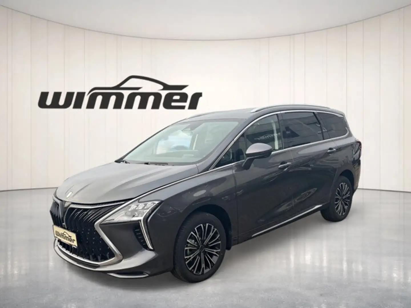 DFSK Sonstige Forthing 4 U-Tour PHEV Plug- In- Hybrid Grau - 1