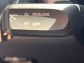 Porsche 911 Carrera Cabriolet #SAGA! BOSE! APPROVED 26! Weiß - thumbnail 16