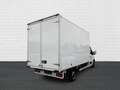 Opel Movano L3H1 FG NK KOFFERAUFBAU CDTI+LED TAGFAHRLIC Weiß - thumbnail 7