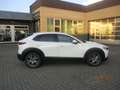 Mazda CX-30 SELECTION 2,0 122 PS Weiß - thumbnail 2