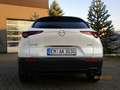Mazda CX-30 SELECTION 2,0 122 PS Weiß - thumbnail 4