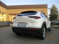 Mazda CX-30 SELECTION 2,0 122 PS Weiß - thumbnail 3