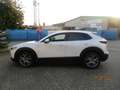 Mazda CX-30 SELECTION 2,0 122 PS Weiß - thumbnail 6