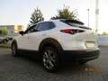 Mazda CX-30 SELECTION 2,0 122 PS Weiß - thumbnail 5