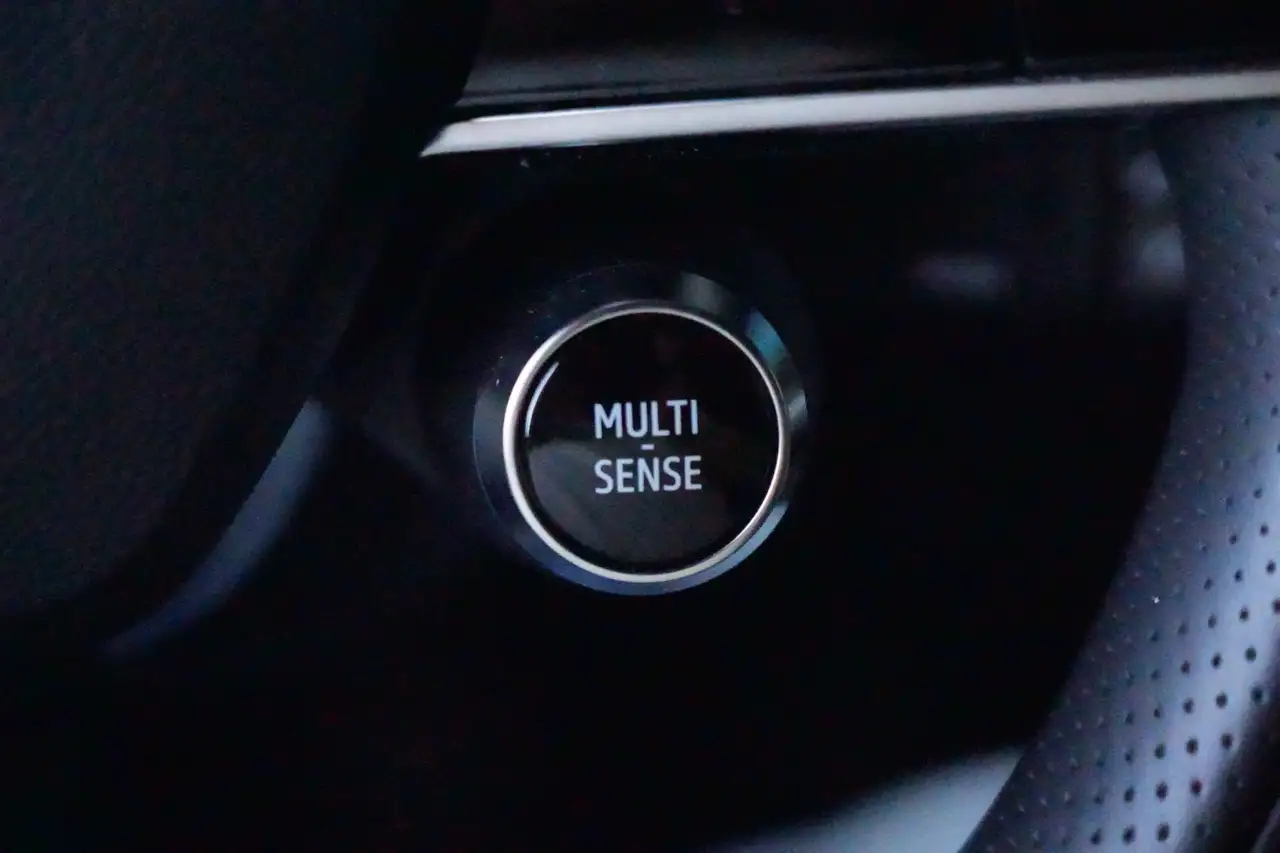 Renault Austral 1.2 mild hybrid advanced techno 130pk Navigatie/Ca 21