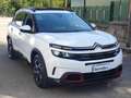 Citroen C5 Aircross 2.0 bluehdi Shine S&S EAT8 Bianco - thumbnail 3
