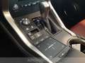 Lexus NX 300 300h 2.5 executive 4wd cvt Grijs - thumbnail 19